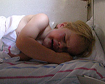 plach-1.jpg